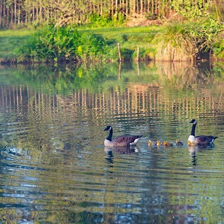 Beautiful Willow Lodge 67-4-6 Persons-Private Hot Tub-Pet Friendly-Tranquil Holiday Away From It All Yet Not Far To St Austell-The Holiday Home Has Two Bedrooms, Living & Dining Area, Equipped Kitchen -Decking-Al Fresco Dining-Fishing Lakes-Pet Frien Grampound Buitenkant foto