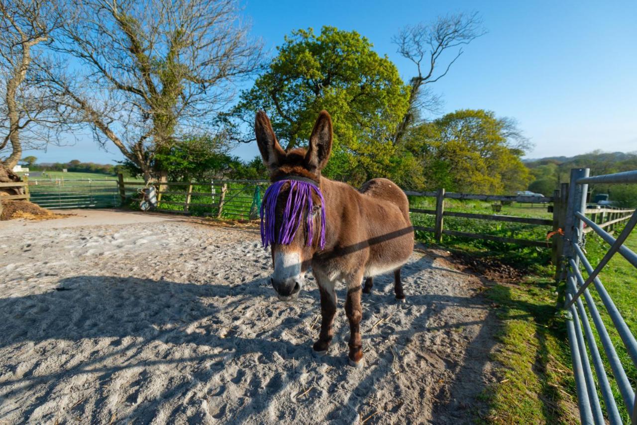Beautiful Willow Lodge 67-4-6 Persons-Private Hot Tub-Pet Friendly-Tranquil Holiday Away From It All Yet Not Far To St Austell-The Holiday Home Has Two Bedrooms, Living & Dining Area, Equipped Kitchen -Decking-Al Fresco Dining-Fishing Lakes-Pet Frien Grampound Buitenkant foto