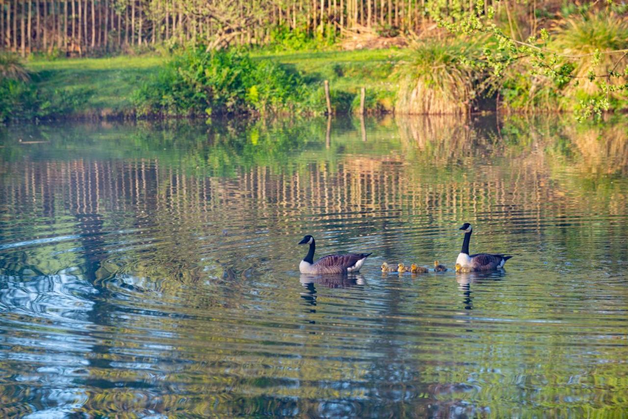 Beautiful Willow Lodge 67-4-6 Persons-Private Hot Tub-Pet Friendly-Tranquil Holiday Away From It All Yet Not Far To St Austell-The Holiday Home Has Two Bedrooms, Living & Dining Area, Equipped Kitchen -Decking-Al Fresco Dining-Fishing Lakes-Pet Frien Grampound Buitenkant foto